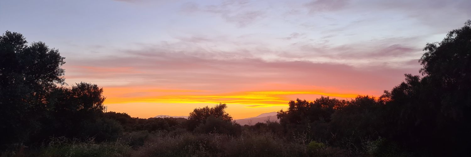 abrangnik's profile banner image