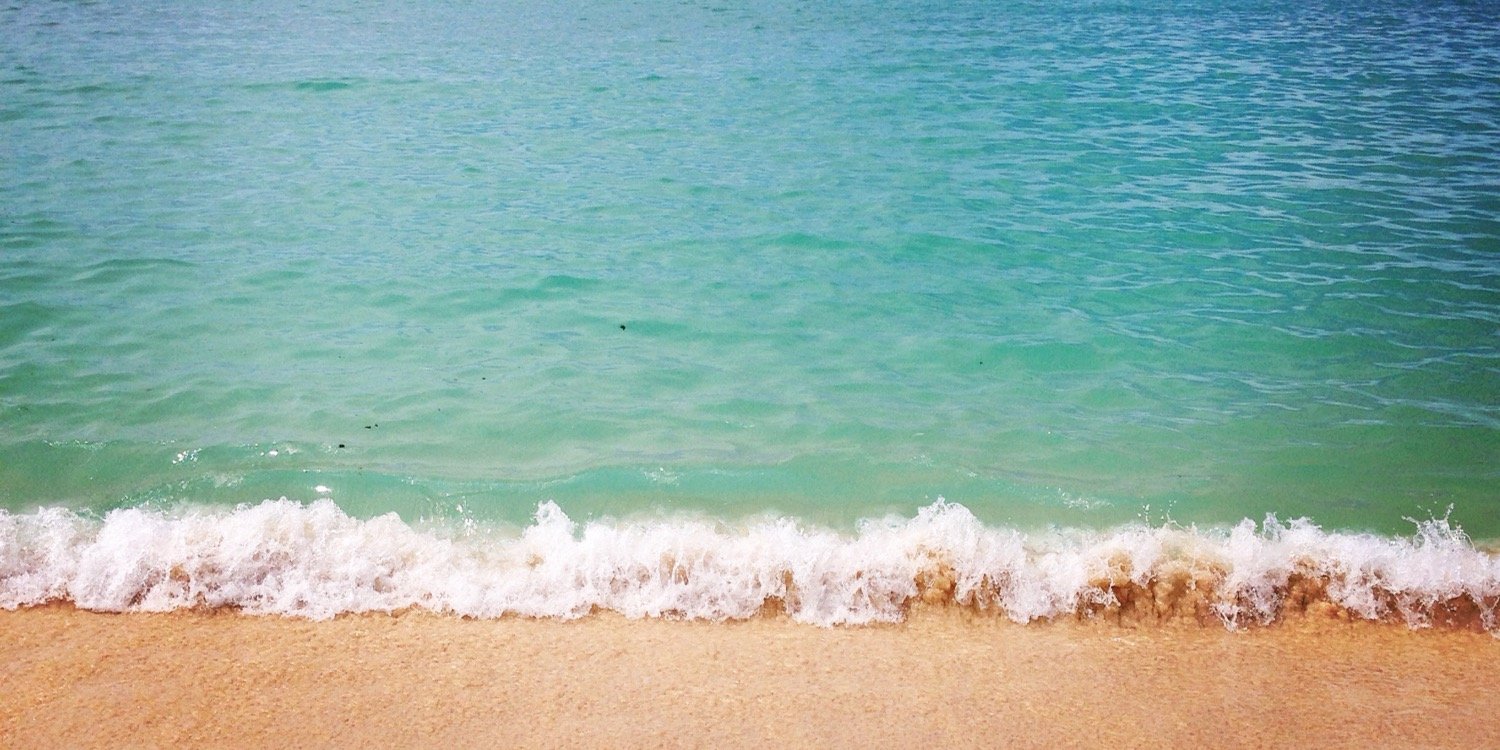 yayamarcuzzi's profile banner image
