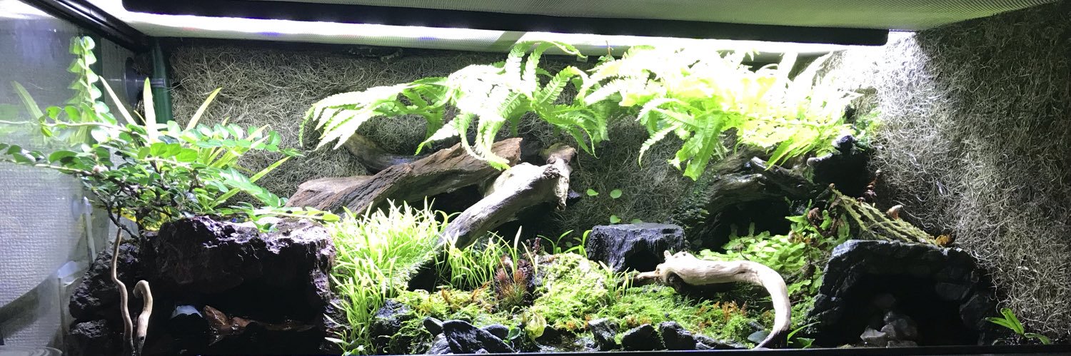 ふとっちゃおーず banner