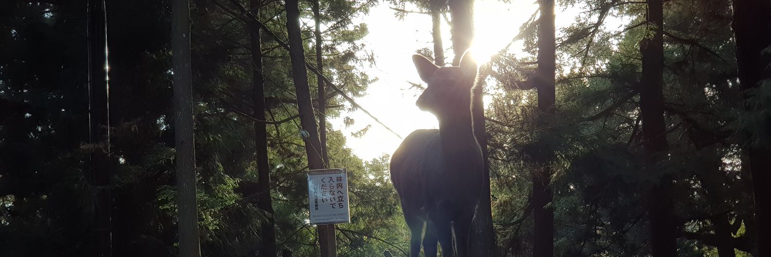 aries9488's profile banner image