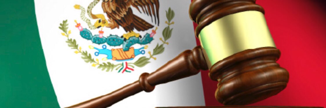 Indignada banner
