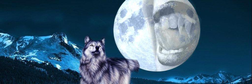 La_Colmis's profile banner image