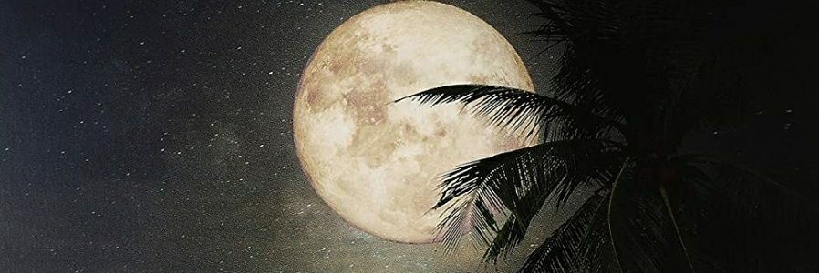 sassssss5's profile banner image