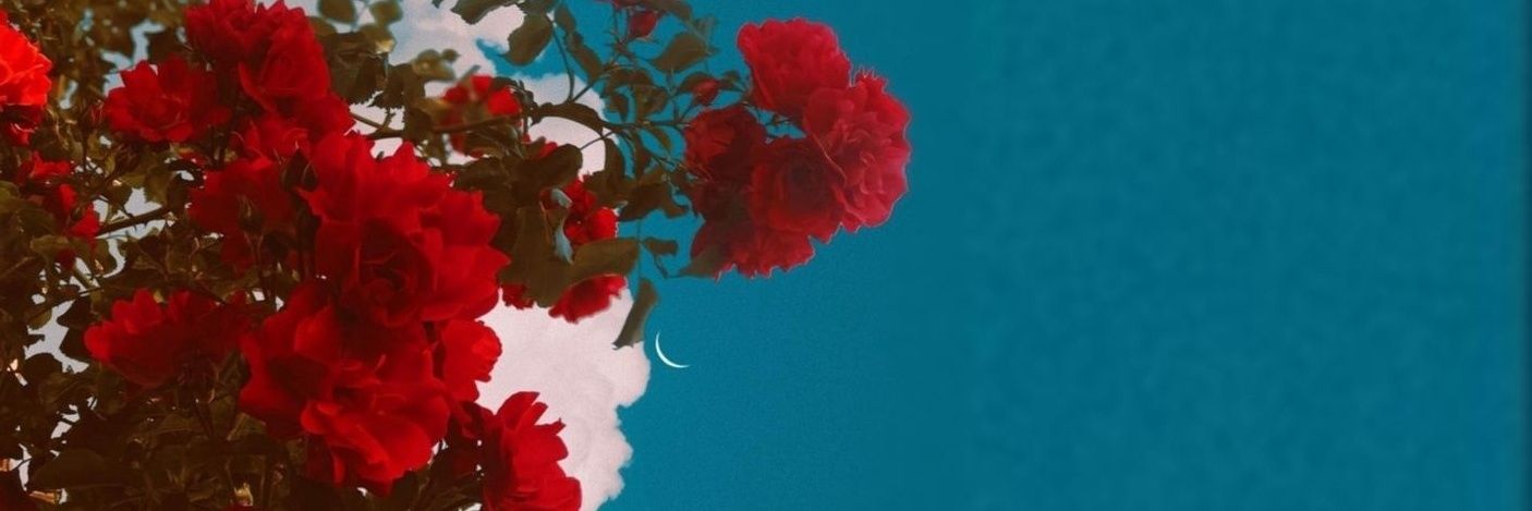 ᥫ᭡ L0llYy ᥫ᭡ banner