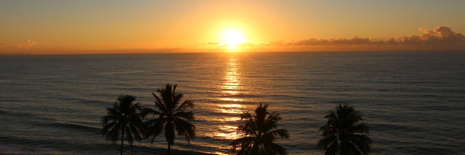 Zé Paulo Pitombo banner