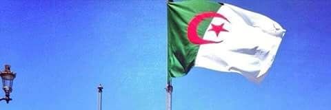 grari_nouri's profile banner image