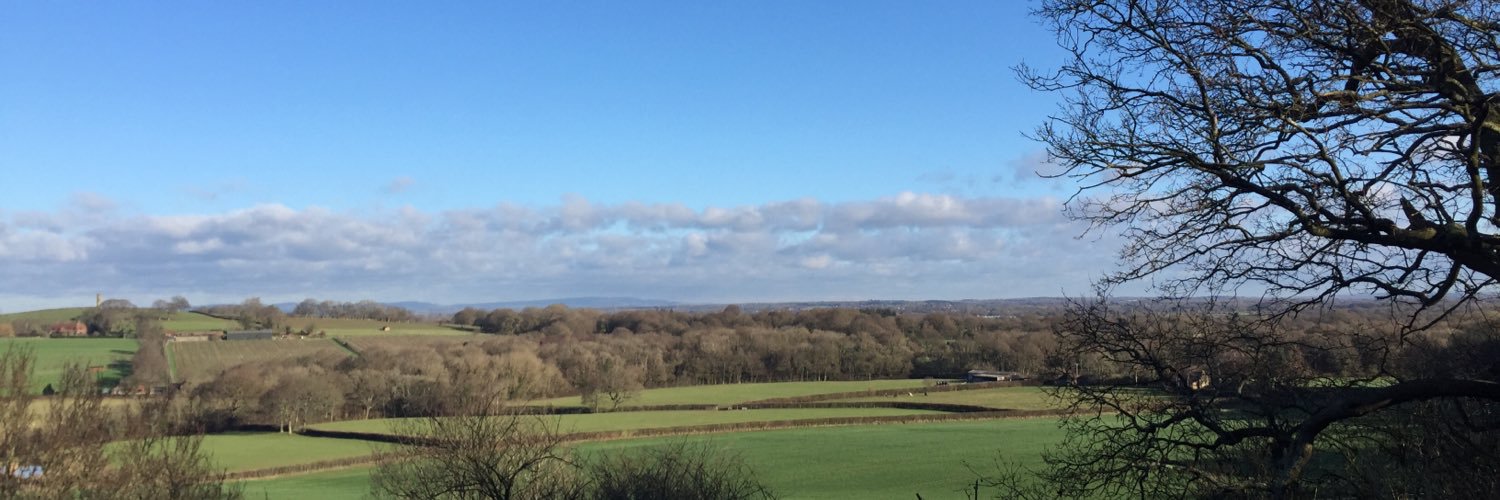 bettsy320's profile banner image