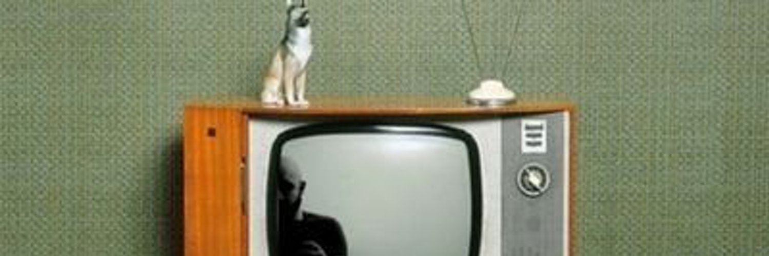 Cubo di Pubik banner