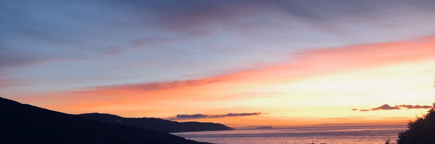 TrilloMartillo's profile banner image