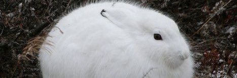 therewerenever's profile banner image