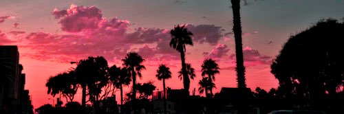 CheyneKemp8's profile banner image