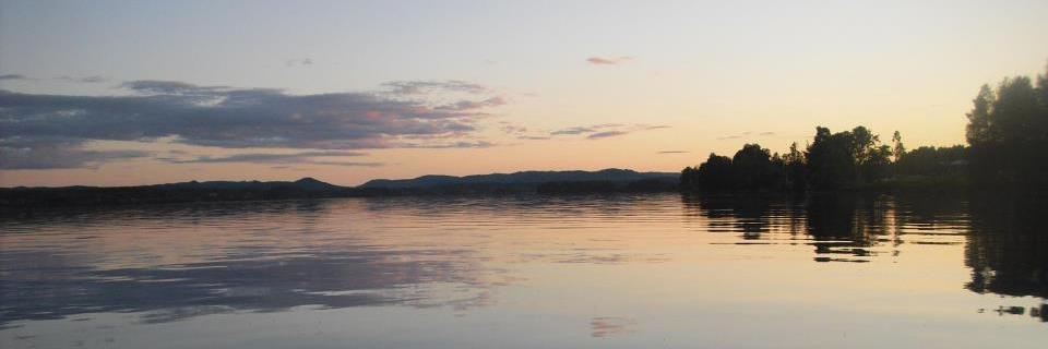 MayaLindh's profile banner image