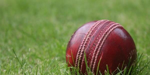 Barwick Cricket Club banner