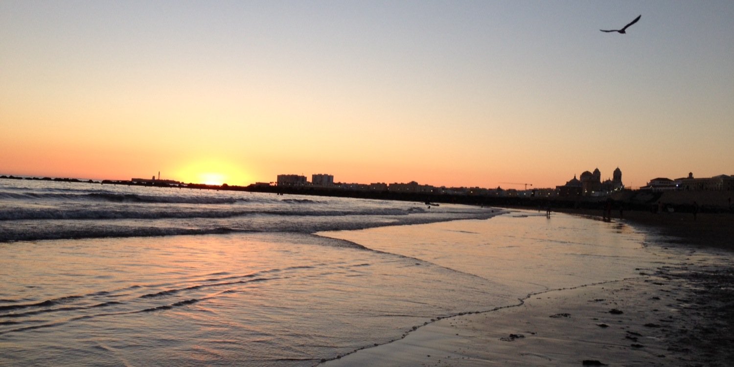 Daniel Fernández banner