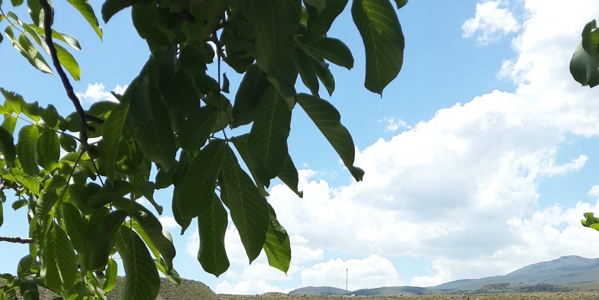 ErbilAzizTahsin's profile banner image