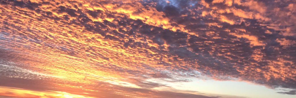 knowles_it_all's profile banner image