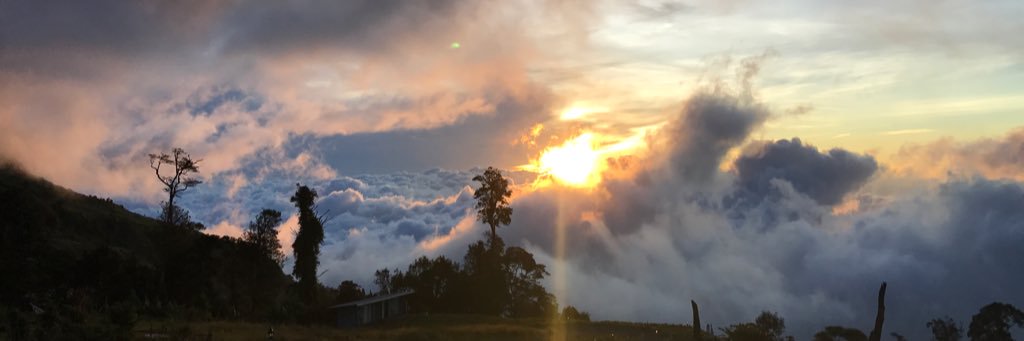 Nomahou's profile banner image