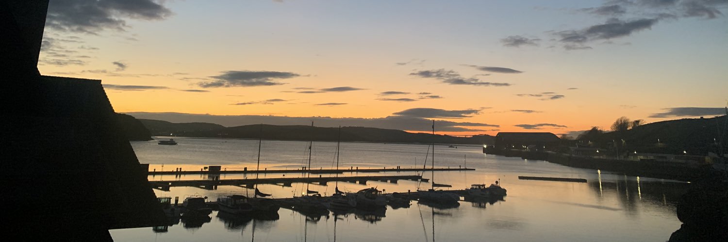 Harriet Ferguson banner