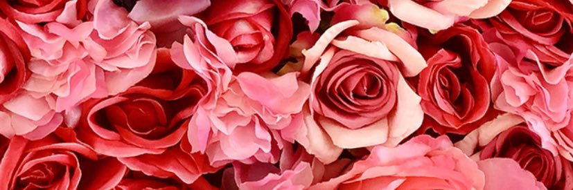 _ConcreteRose97's profile banner image