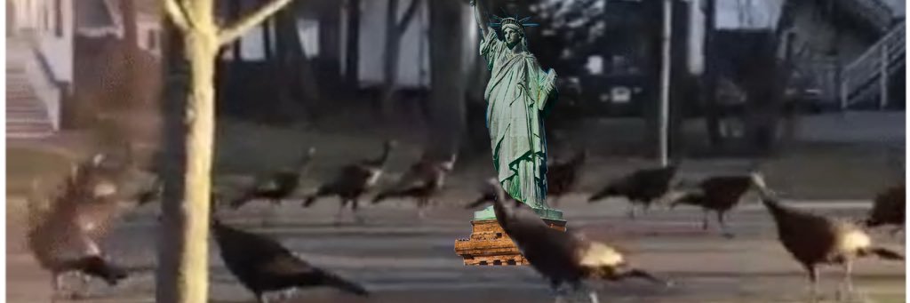 magic_thumbs's profile banner image