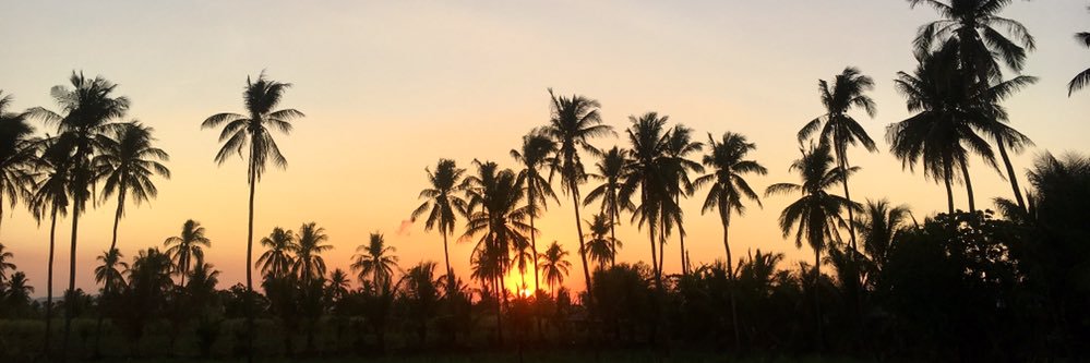 apldecam's profile banner image