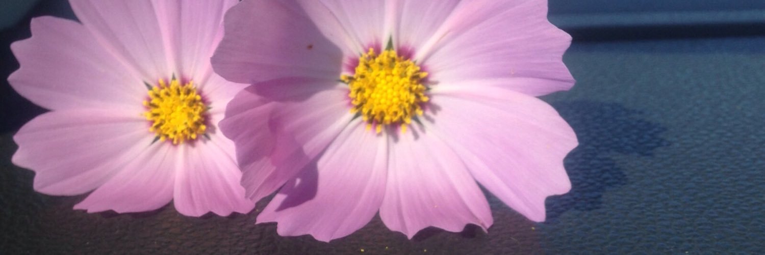 Omphile banner