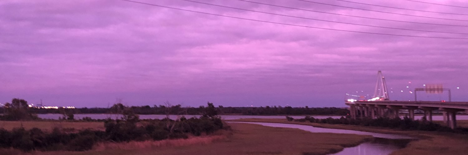 queenfeenjazz's profile banner image