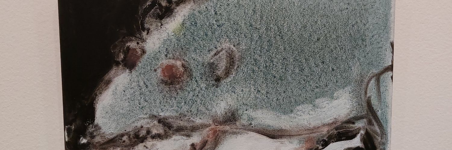 FrontalNobe's profile banner image