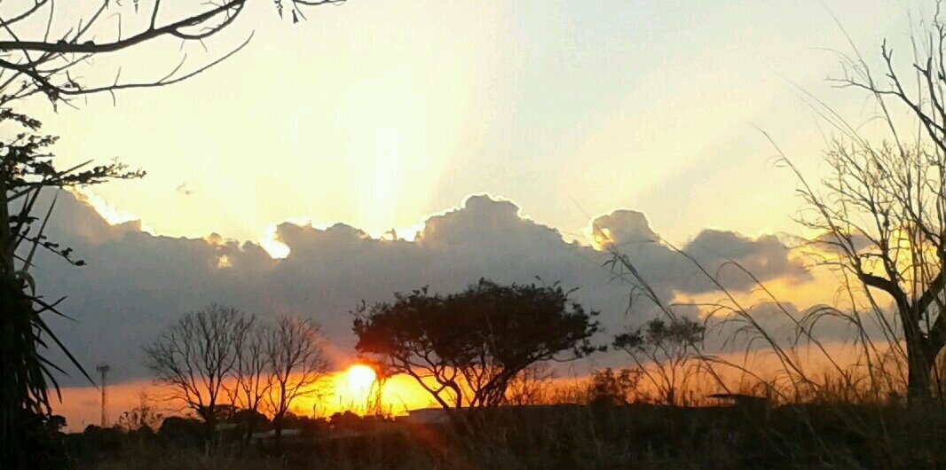ortizquesada's profile banner image