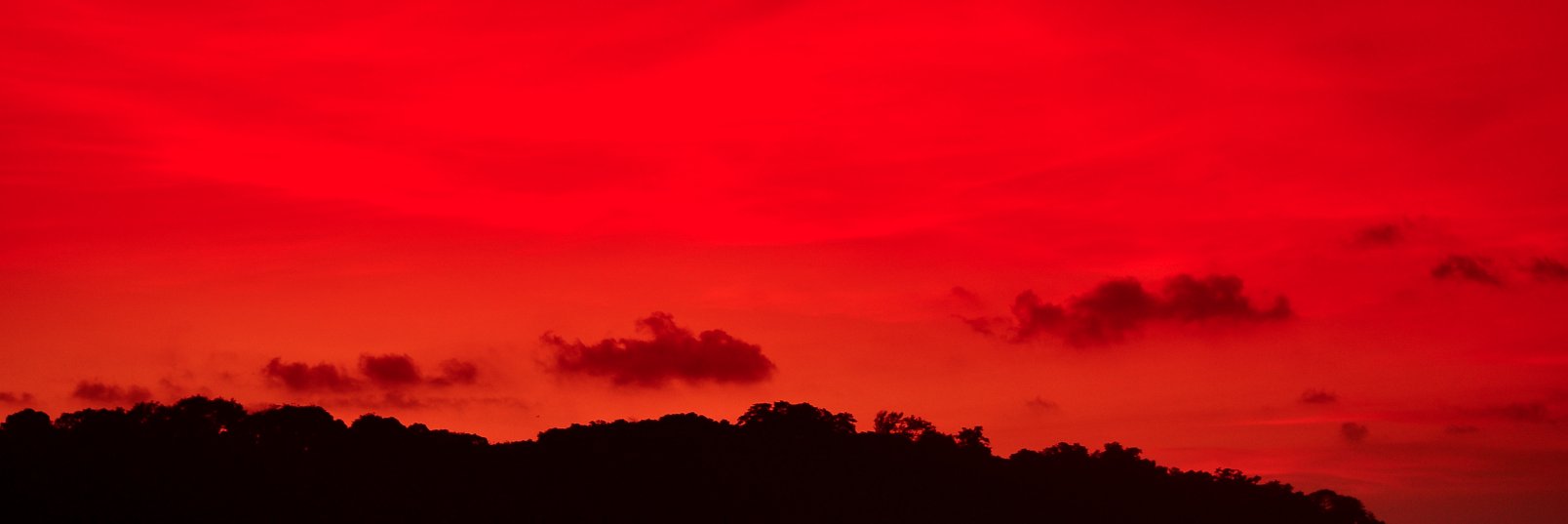 wsmpm's profile banner image