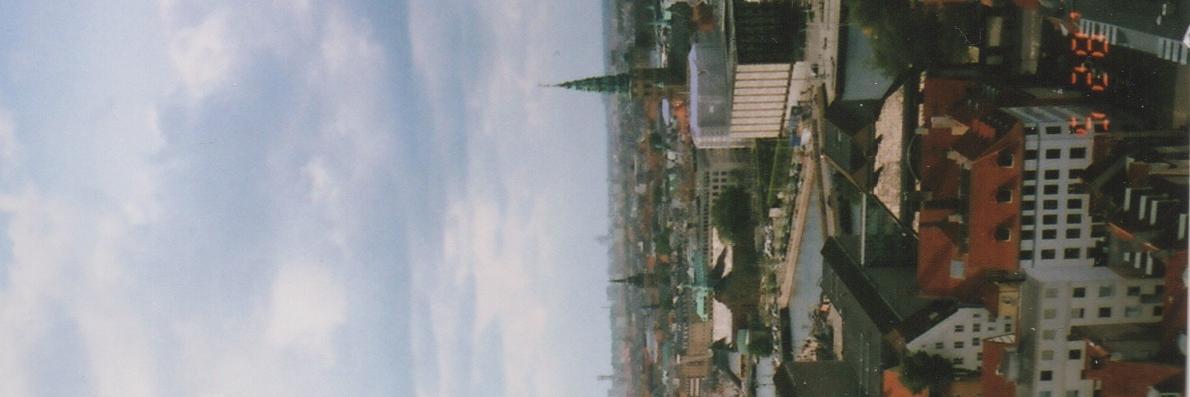 old library hoe banner