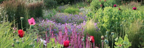 suebeesley Profile Banner
