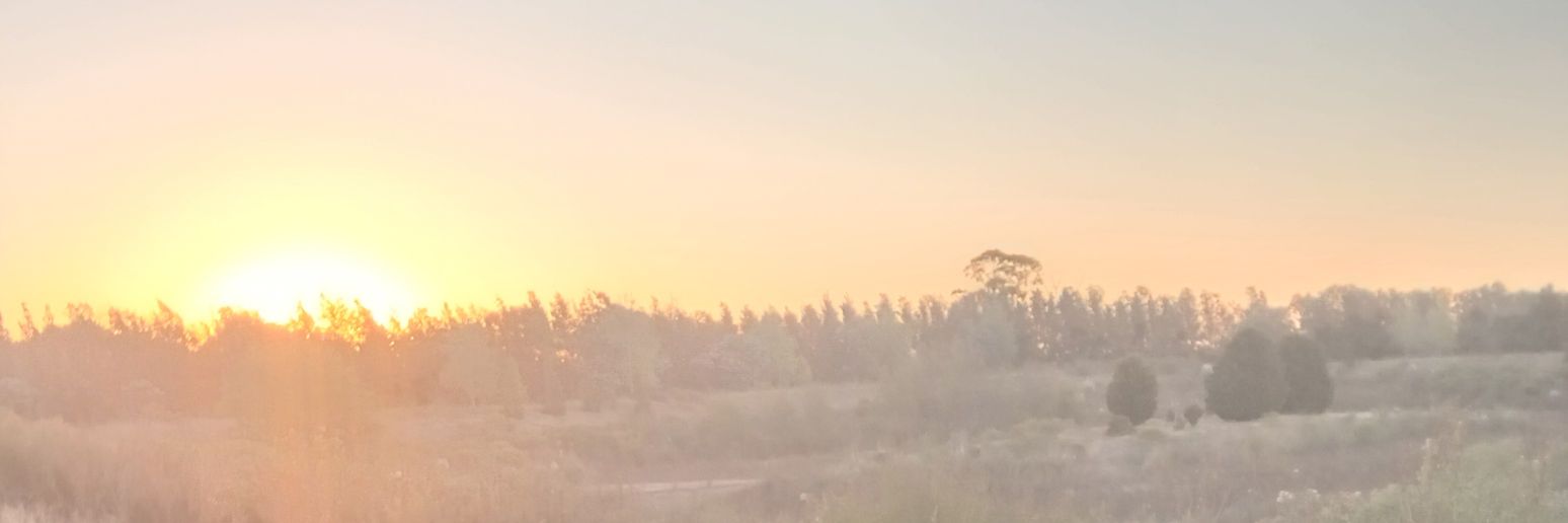 FlorGeneris's profile banner image