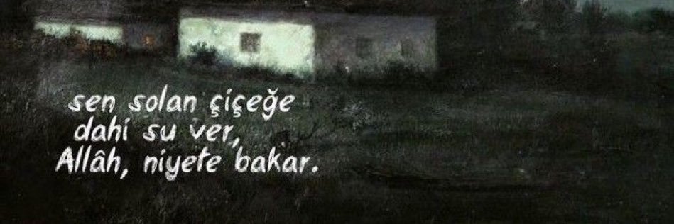 Dindar Şimşek🇹🇷 banner