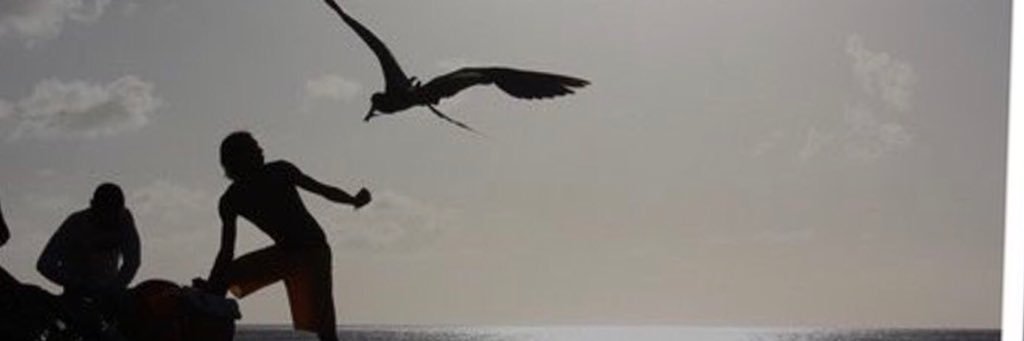 lello_palma's profile banner image