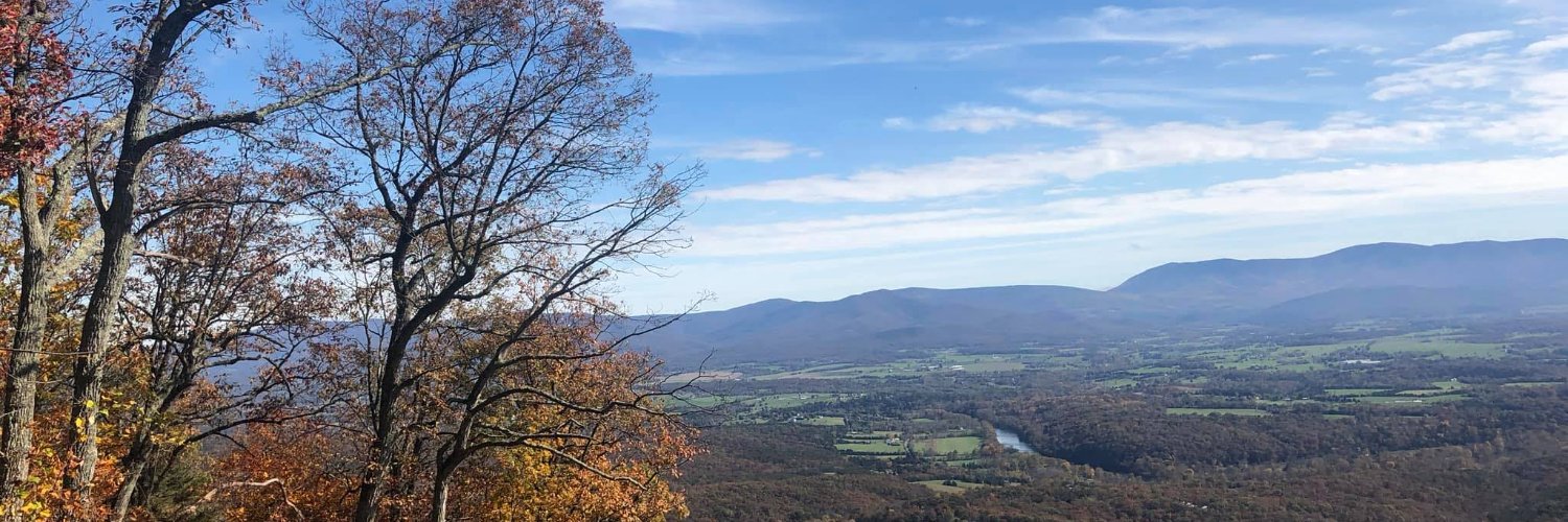 Cheryl Binkley banner