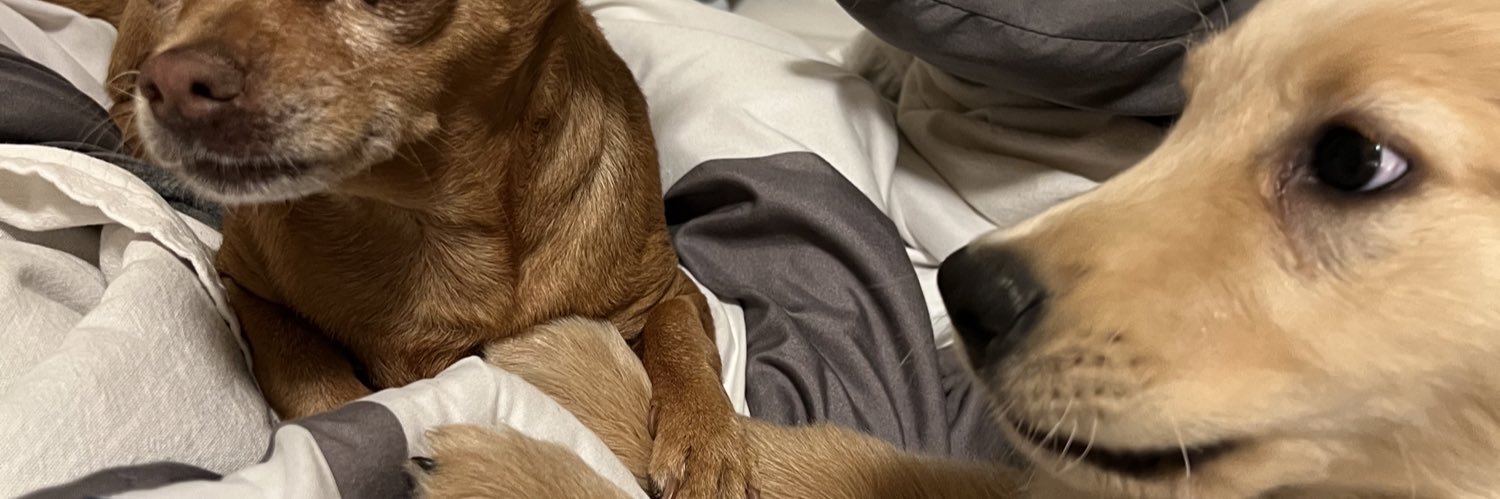 jeez_luiss's profile banner image
