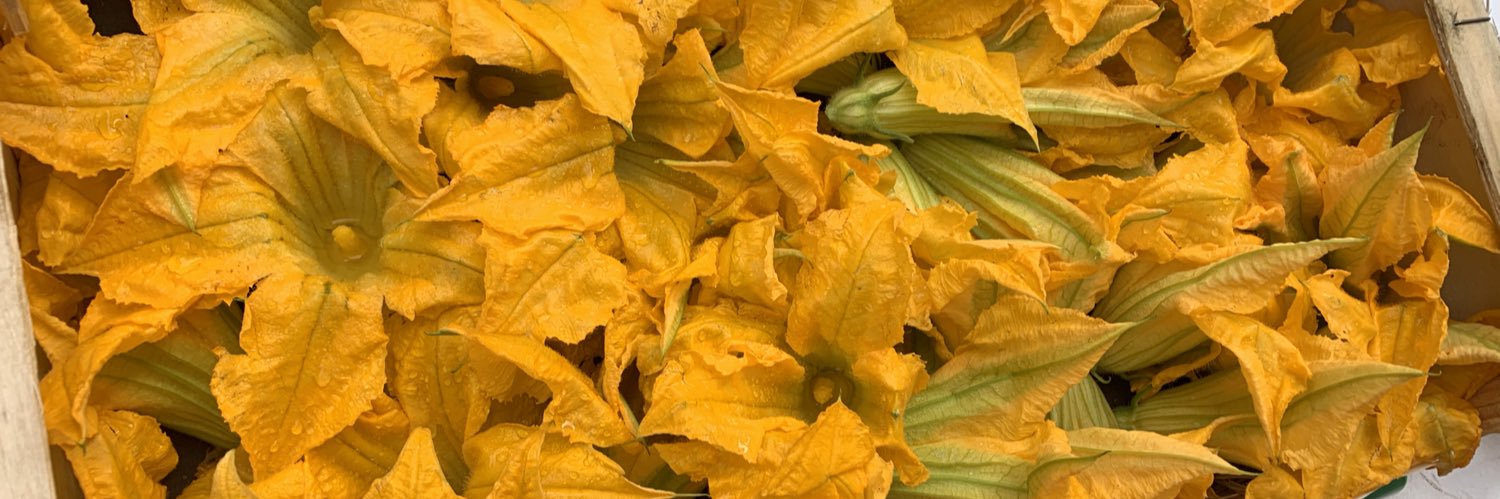 Gemma Rocyn Jones banner