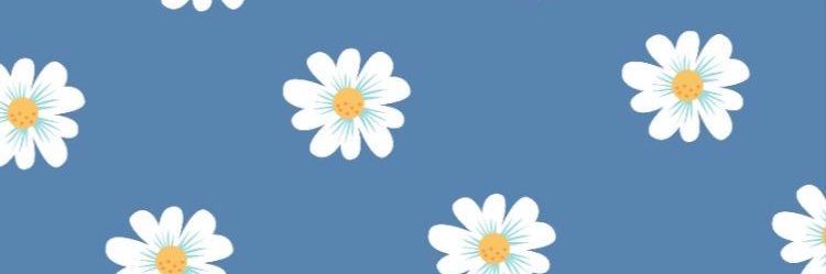 diaaaana's profile banner image
