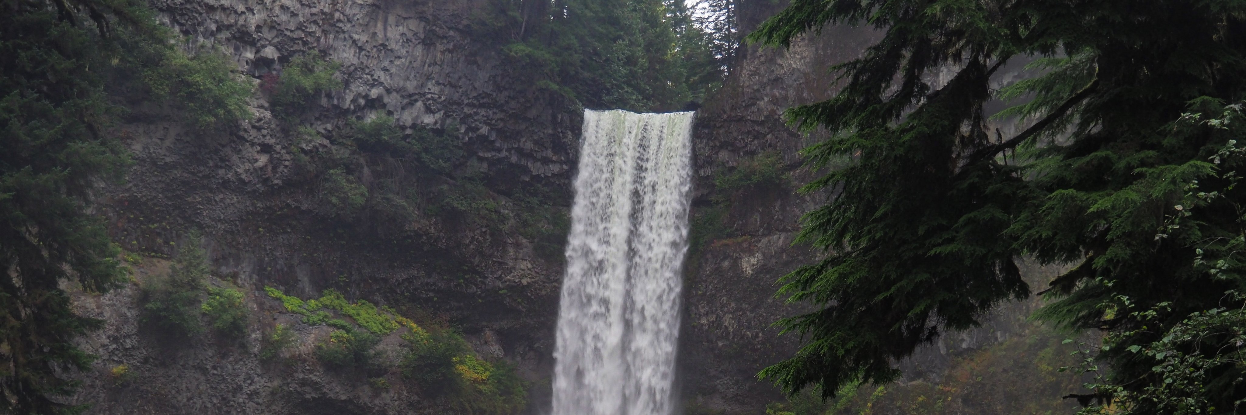 Evgeny Becker banner