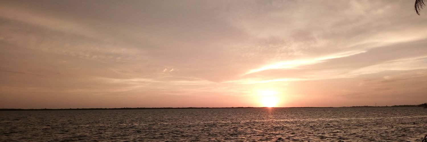 xictomatl's profile banner image