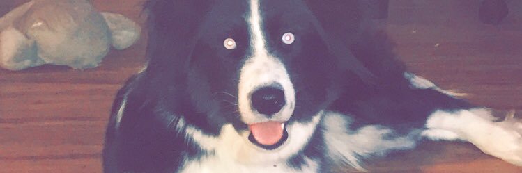 Sam_Seat's profile banner image