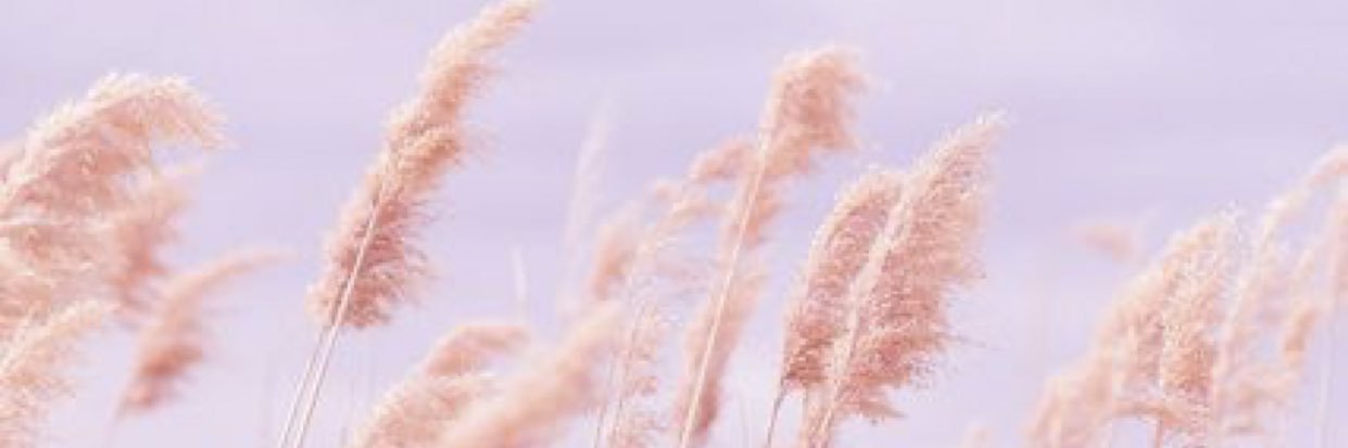 Fiiona___'s profile banner image