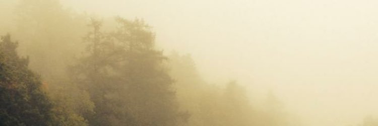 ItsLenaW's profile banner image