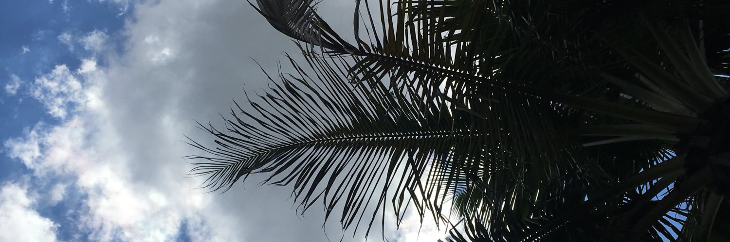 yuriohhhh's profile banner image