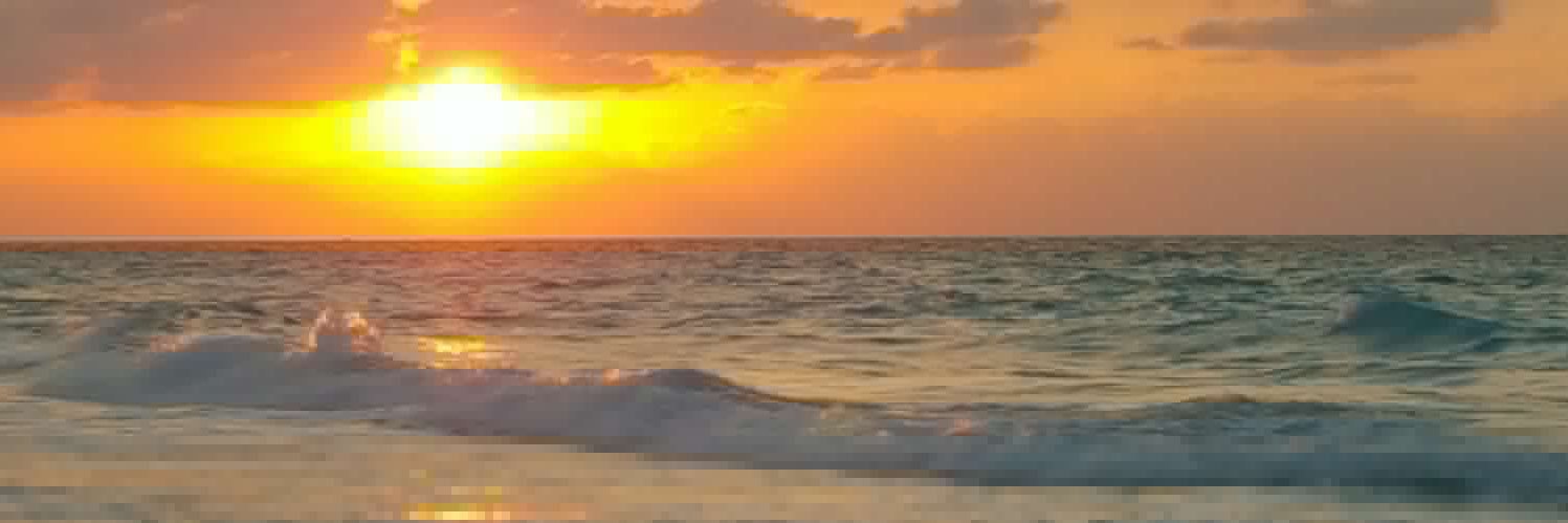 yasmien_fathy's profile banner image