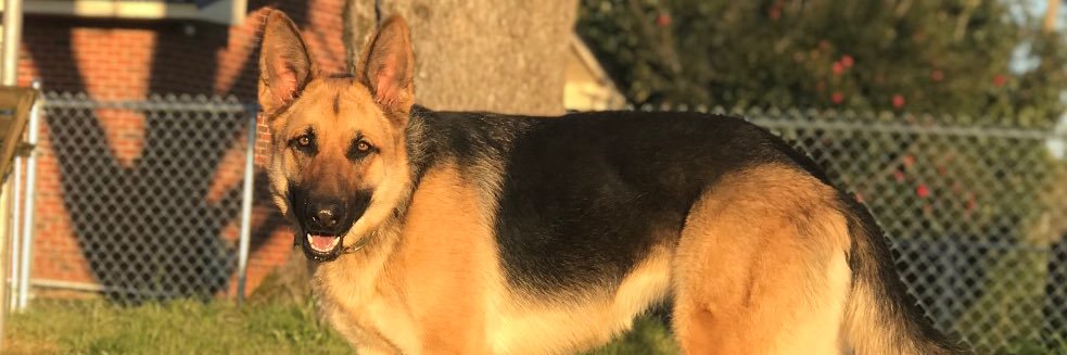 _PaaaigeB's profile banner image