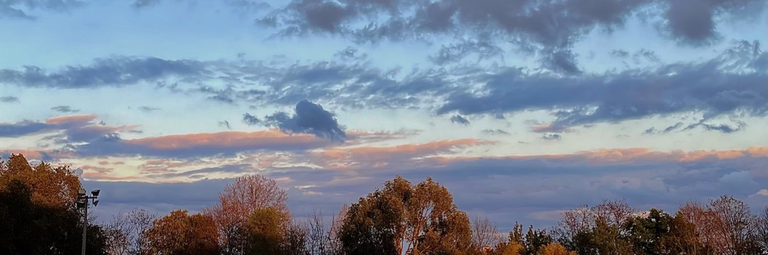 ᴘᴀʀᴀɴᴏɪᴅ banner