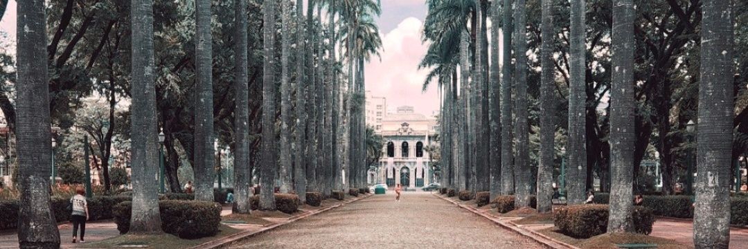 Victor Wildner 🪻🐦‍⬛ banner