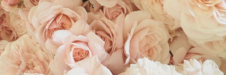 Steph_Rescober's profile banner image